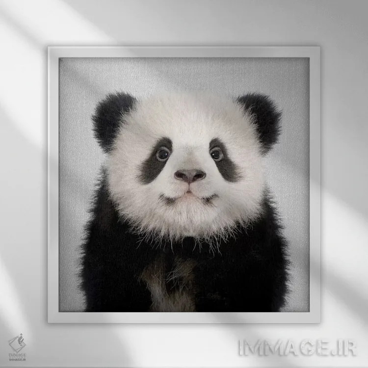 تابلو خرس پاندا اثر گال دیزاین - نمای قابدار سفید