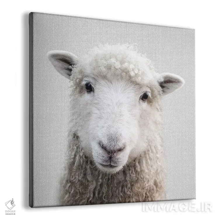 تابلو گوسفند اثر گال دیزاین - نمای پرسپکتیو محصول