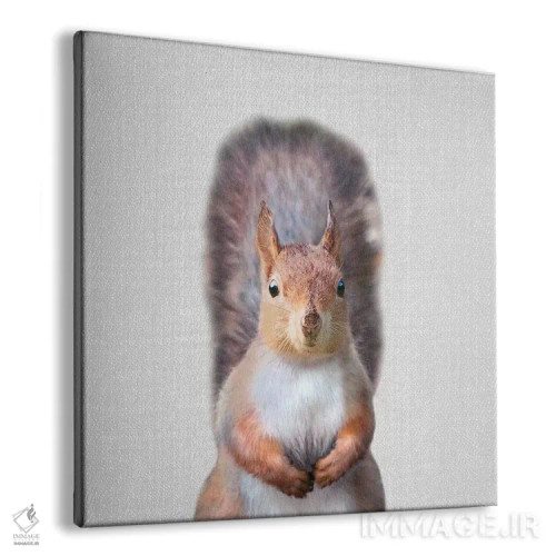 تابلو سنجاب اثر گال دیزاین - نمای پرسپکتیو محصول