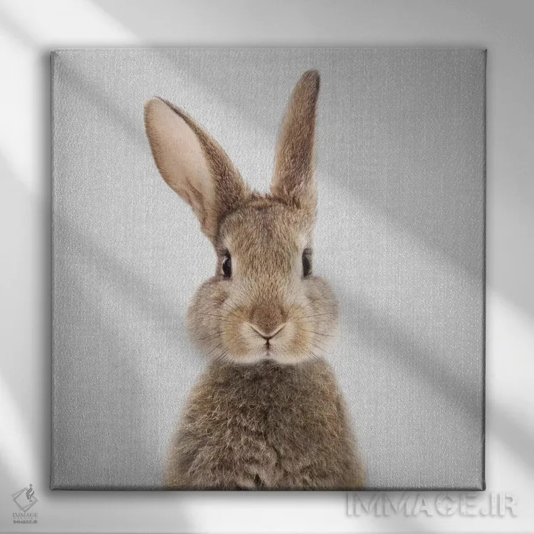 تابلو خرگوش اثر گال دیزاین - نمای روبهرو روی دیوار