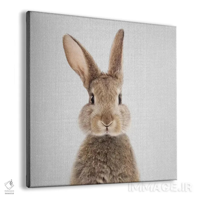 تابلو خرگوش اثر گال دیزاین - نمای پرسپکتیو محصول
