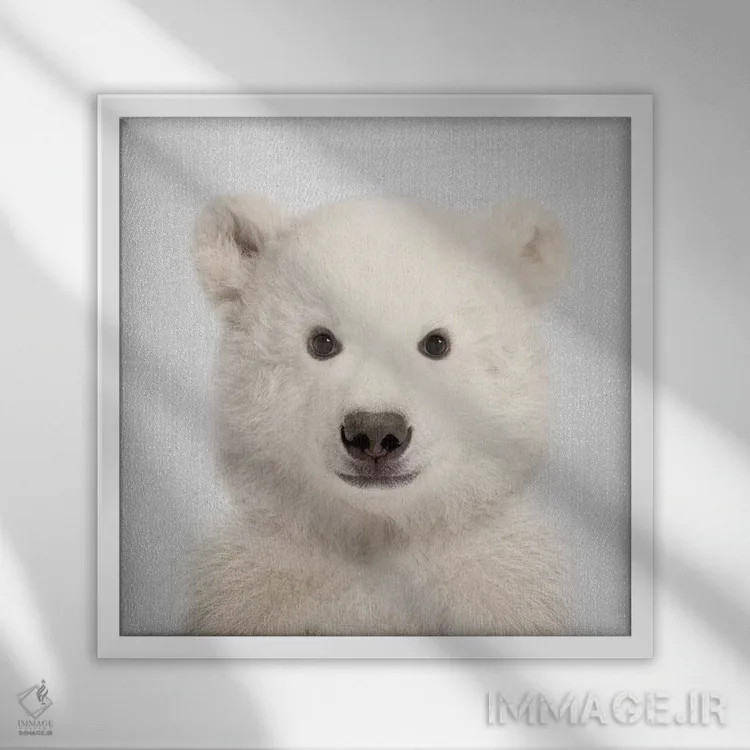 تابلو خرس قطبی اثر گال دیزاین - نمای قابدار سفید