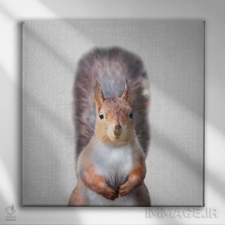 تابلو سنجاب اثر گال دیزاین - نمای روبهرو روی دیوار