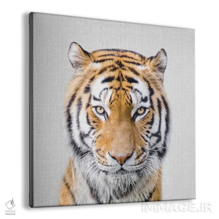 تابلو ببر اثر گال دیزاین - نمای پرسپکتیو محصول