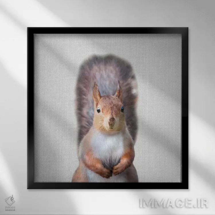 تابلو سنجاب اثر گال دیزاین - نمای قابدار مشکی