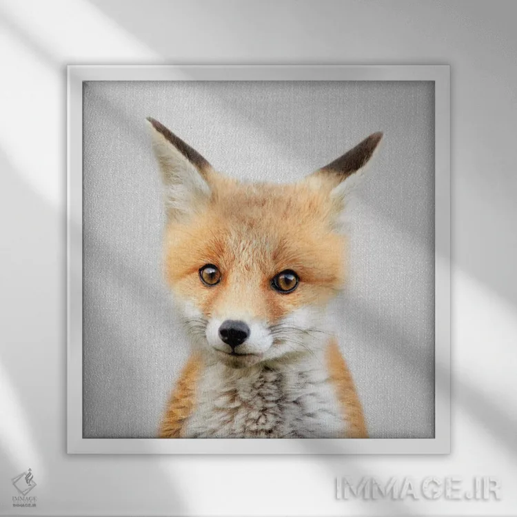 تابلو بچه روباه اثر گال دیزاین - نمای قابدار سفید