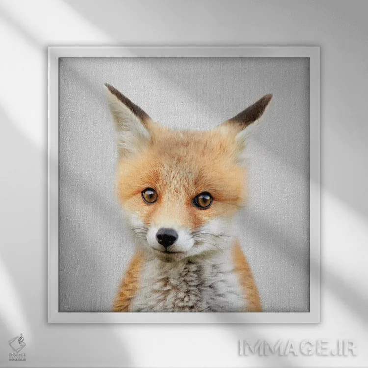 تابلو بچه روباه اثر گال دیزاین - نمای قابدار سفید