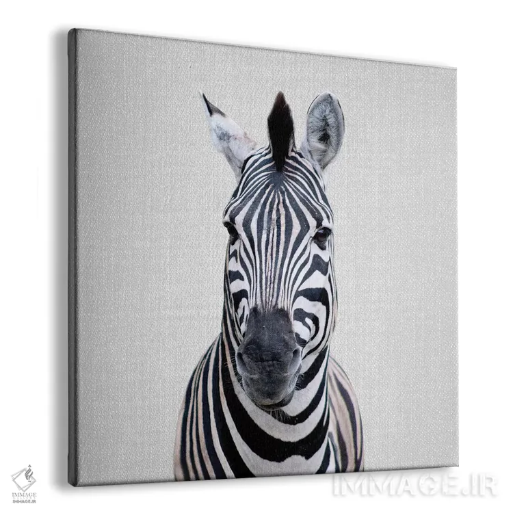 تابلو گورخر ۱ اثر گال دیزاین - نمای پرسپکتیو محصول