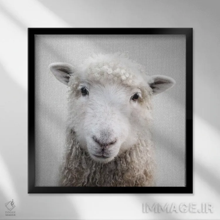 تابلو گوسفند اثر گال دیزاین - نمای قابدار مشکی