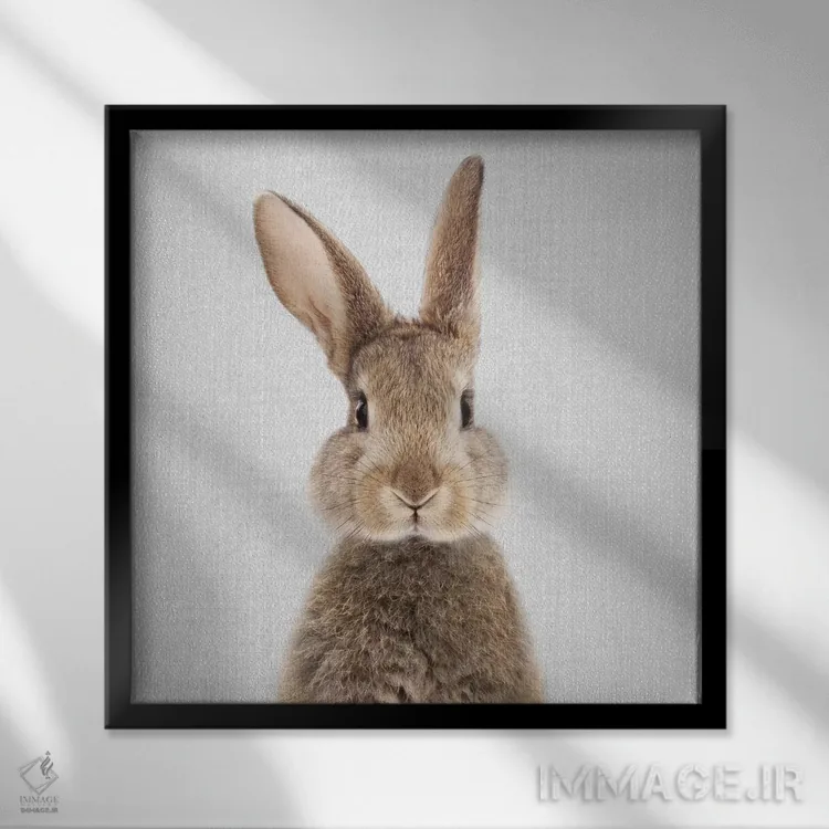 تابلو خرگوش اثر گال دیزاین - نمای قابدار مشکی