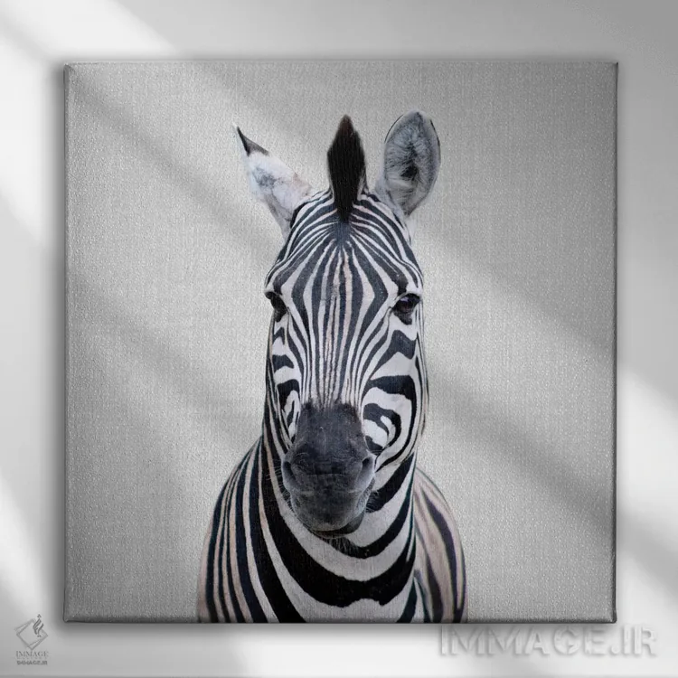 تابلو گورخر ۱ اثر گال دیزاین - نمای روبهرو روی دیوار