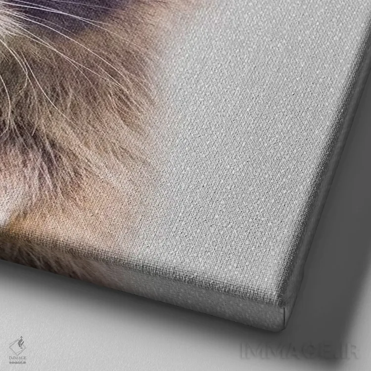 تابلو راکون (راکون) اثر گال دیزاین - نمای نزدیک بافت بوم