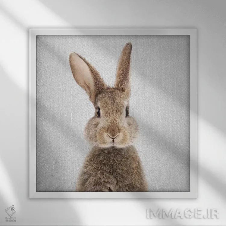 تابلو خرگوش اثر گال دیزاین - نمای قابدار سفید