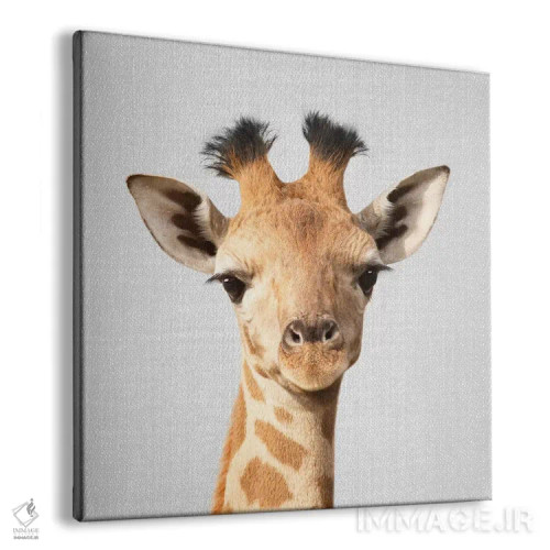تابلو بچه زرافه اثر گال دیزاین - نمای پرسپکتیو محصول