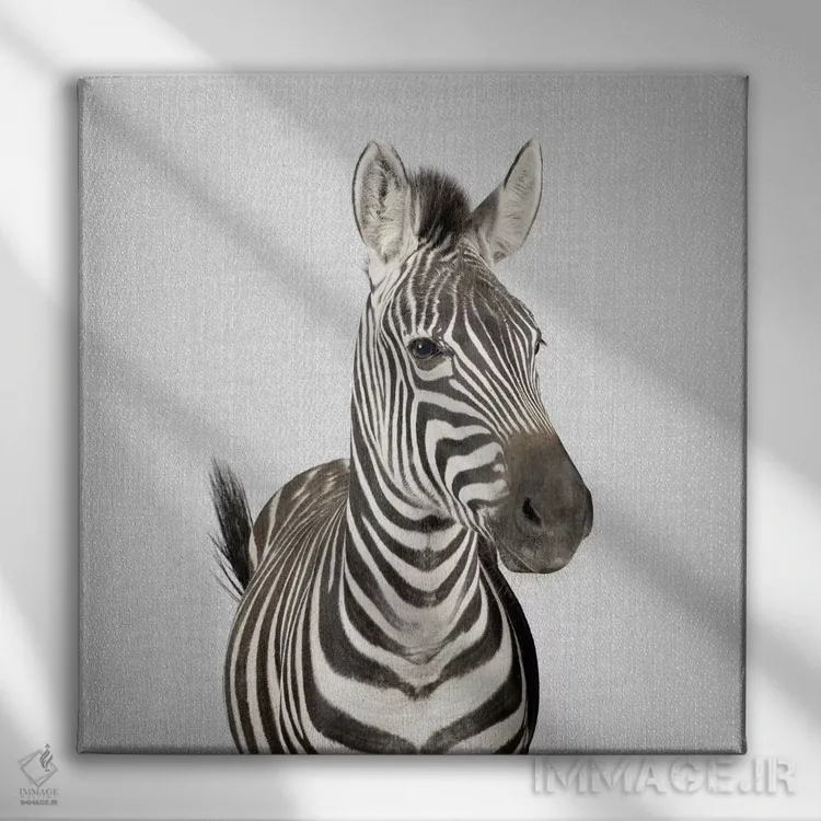 تابلو گورخر ۲ اثر گال دیزاین - نمای روبهرو روی دیوار