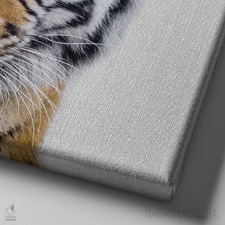 تابلو ببر اثر گال دیزاین - نمای نزدیک بافت بوم