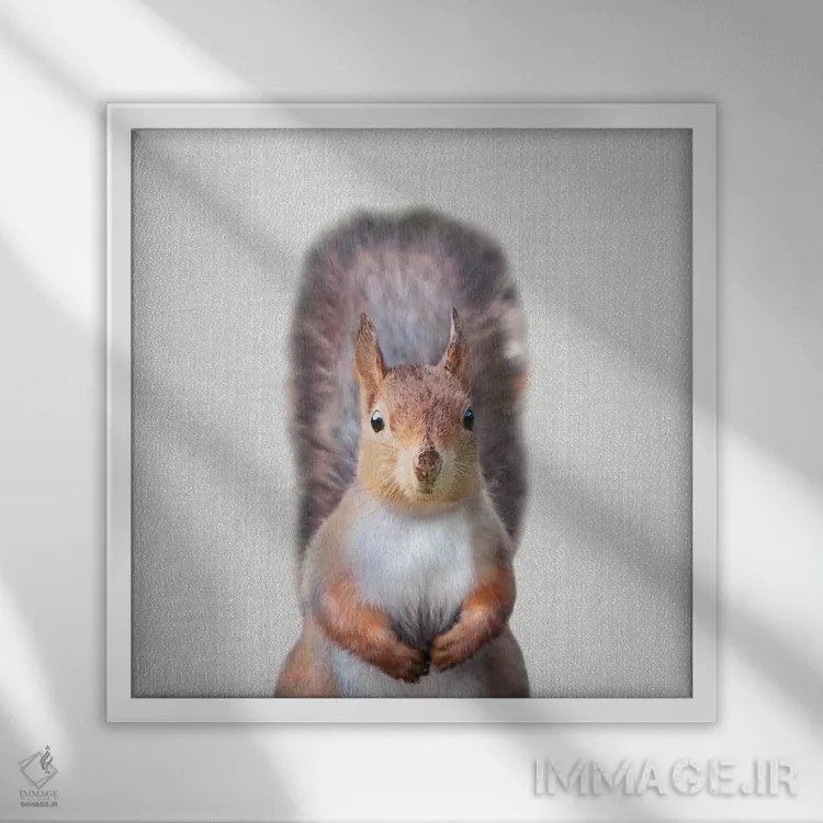 تابلو سنجاب اثر گال دیزاین - نمای قابدار سفید