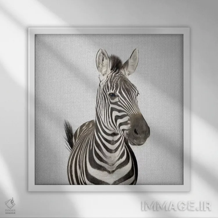 تابلو گورخر ۲ اثر گال دیزاین - نمای قابدار سفید