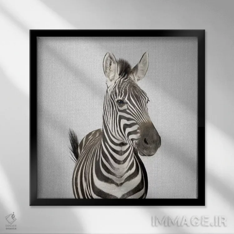 تابلو گورخر ۲ اثر گال دیزاین - نمای قابدار مشکی