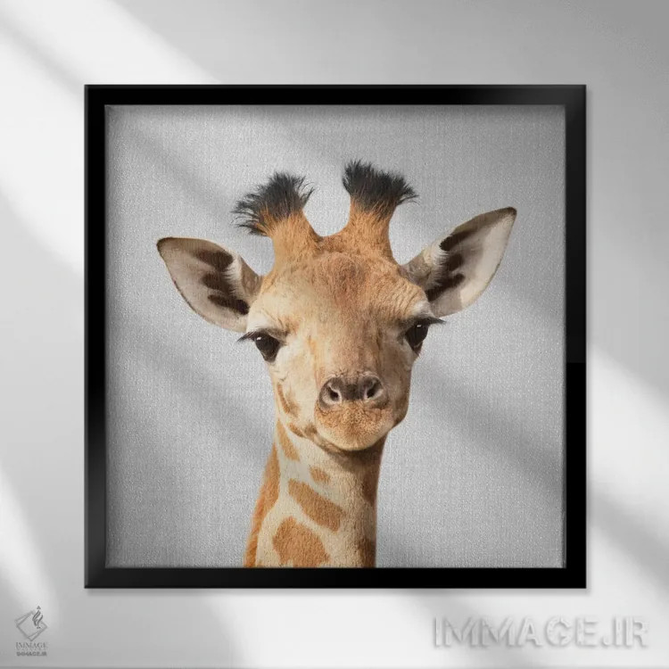 تابلو بچه زرافه اثر گال دیزاین - نمای قابدار مشکی