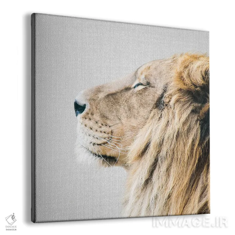 تابلو پرتره شیر اثر گال دیزاین - نمای پرسپکتیو محصول