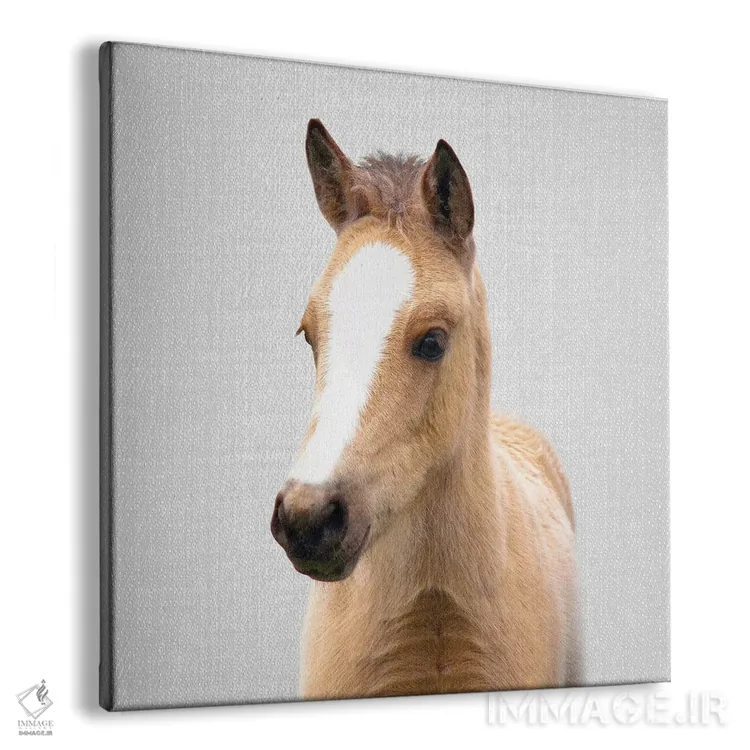 تابلو کره اسب اثر گال دیزاین - نمای پرسپکتیو محصول