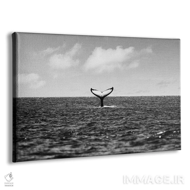 تابلو دم نهنگ اثر گال دیزاین - نمای پرسپکتیو محصول