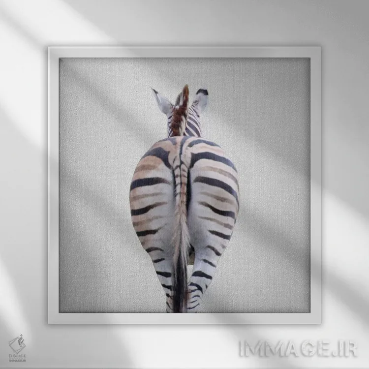 تابلو دم گورخر اثر گال دیزاین - نمای قابدار سفید