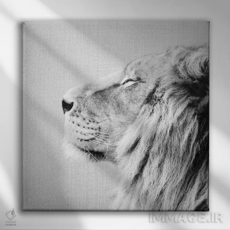 تابلو پرتره شیر در سیاه و سفید اثر گال دیزاین - نمای روبهرو روی دیوار