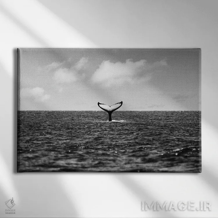 تابلو دم نهنگ اثر گال دیزاین - نمای روبهرو روی دیوار