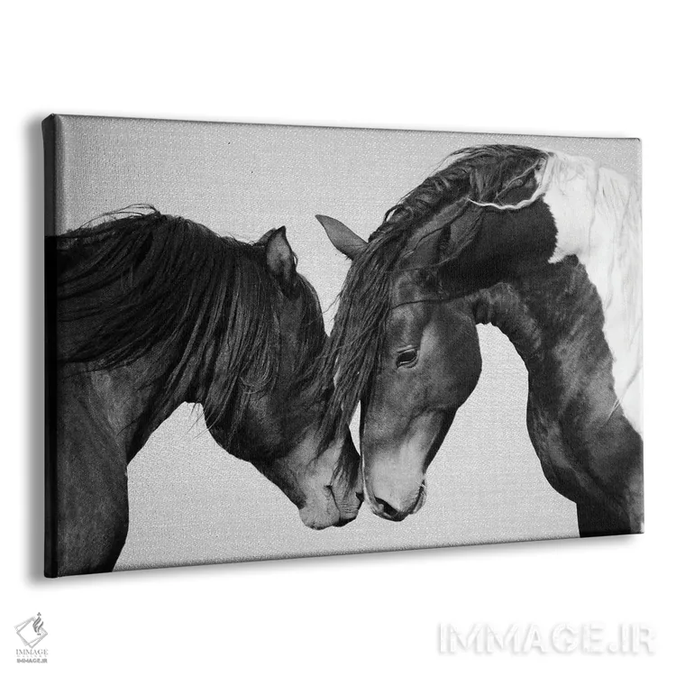 تابلو اسبها در سیاه و سفید ۲ اثر گال دیزاین - نمای پرسپکتیو محصول