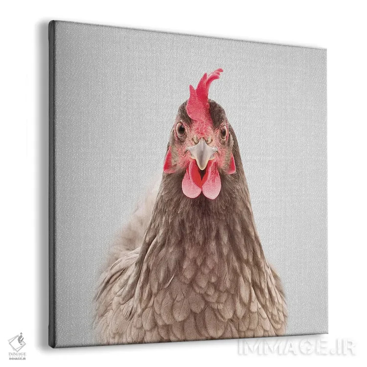 تابلو مرغ اثر گال دیزاین - نمای پرسپکتیو محصول