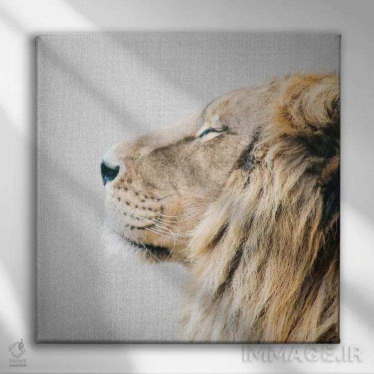 تابلو پرتره شیر اثر گال دیزاین - نمای روبهرو روی دیوار