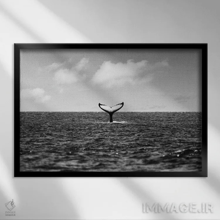 تابلو دم نهنگ اثر گال دیزاین - نمای قابدار مشکی