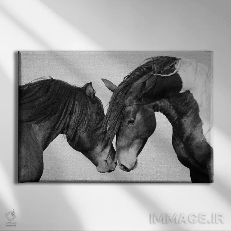 تابلو اسبها در سیاه و سفید ۲ اثر گال دیزاین - نمای روبهرو روی دیوار