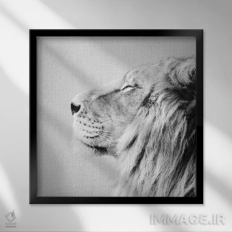 تابلو پرتره شیر در سیاه و سفید اثر گال دیزاین - نمای قابدار مشکی