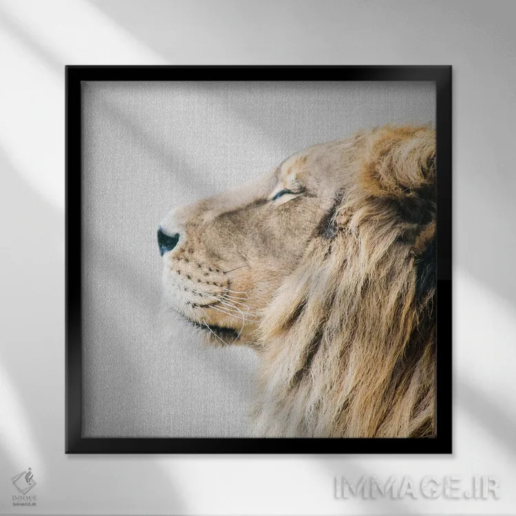 تابلو پرتره شیر اثر گال دیزاین - نمای قابدار مشکی