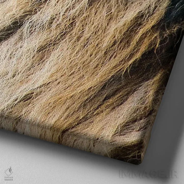 تابلو پرتره شیر اثر گال دیزاین - نمای نزدیک بافت بوم