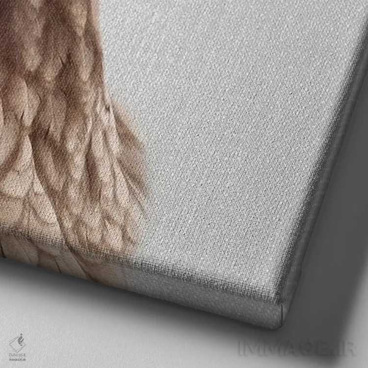 تابلو مرغ اثر گال دیزاین - نمای نزدیک بافت بوم