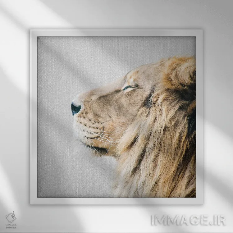 تابلو پرتره شیر اثر گال دیزاین - نمای قابدار سفید