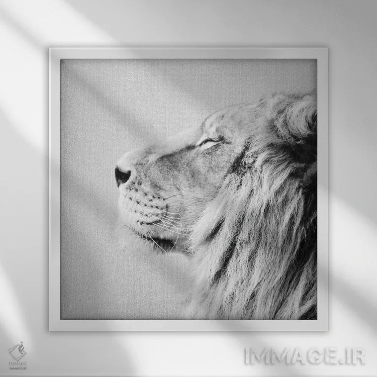 تابلو پرتره شیر در سیاه و سفید اثر گال دیزاین - نمای قابدار سفید