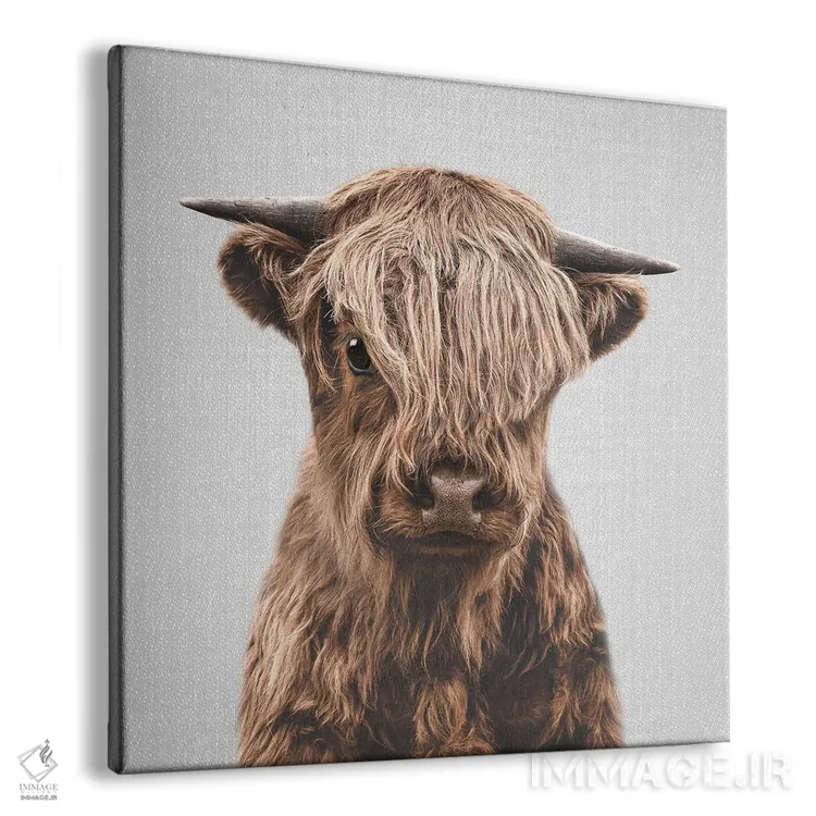 تابلو گوساله کوهستانی اثر گال دیزاین - نمای پرسپکتیو محصول