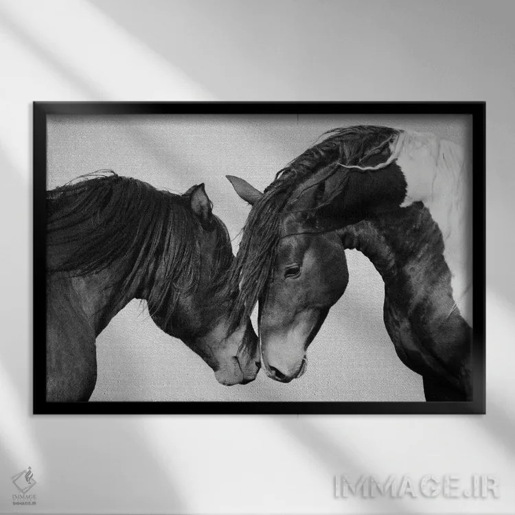تابلو اسبها در سیاه و سفید ۲ اثر گال دیزاین - نمای قابدار مشکی