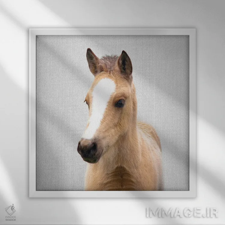 تابلو کره اسب اثر گال دیزاین - نمای قابدار سفید