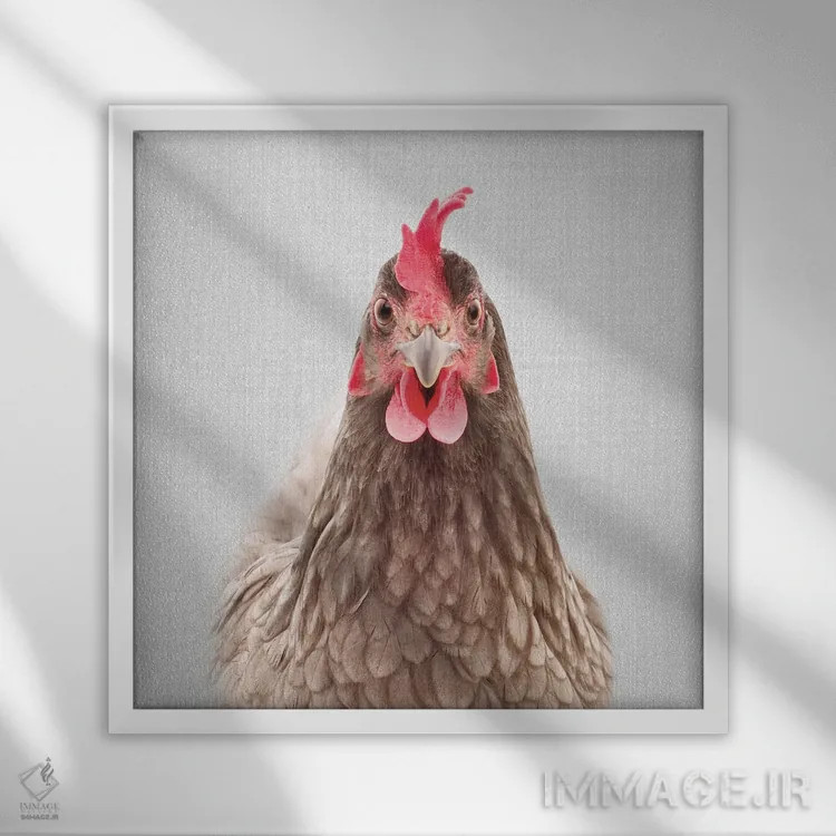 تابلو مرغ اثر گال دیزاین - نمای قابدار سفید