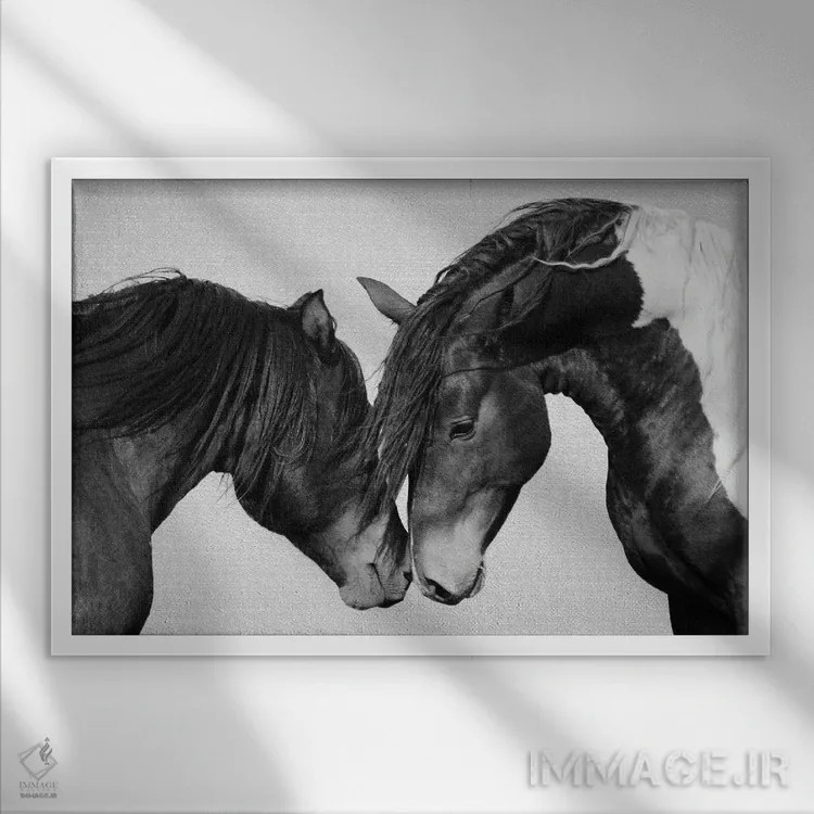 تابلو اسبها در سیاه و سفید ۲ اثر گال دیزاین - نمای قابدار سفید