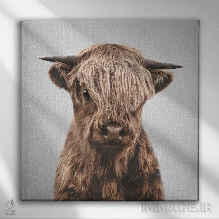 تابلو گوساله کوهستانی اثر گال دیزاین - نمای روبهرو روی دیوار