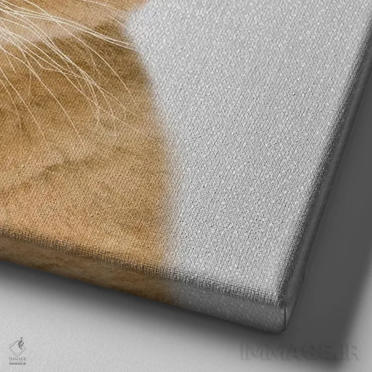 تابلو بچه شیر اثر گال دیزاین - نمای نزدیک بافت بوم