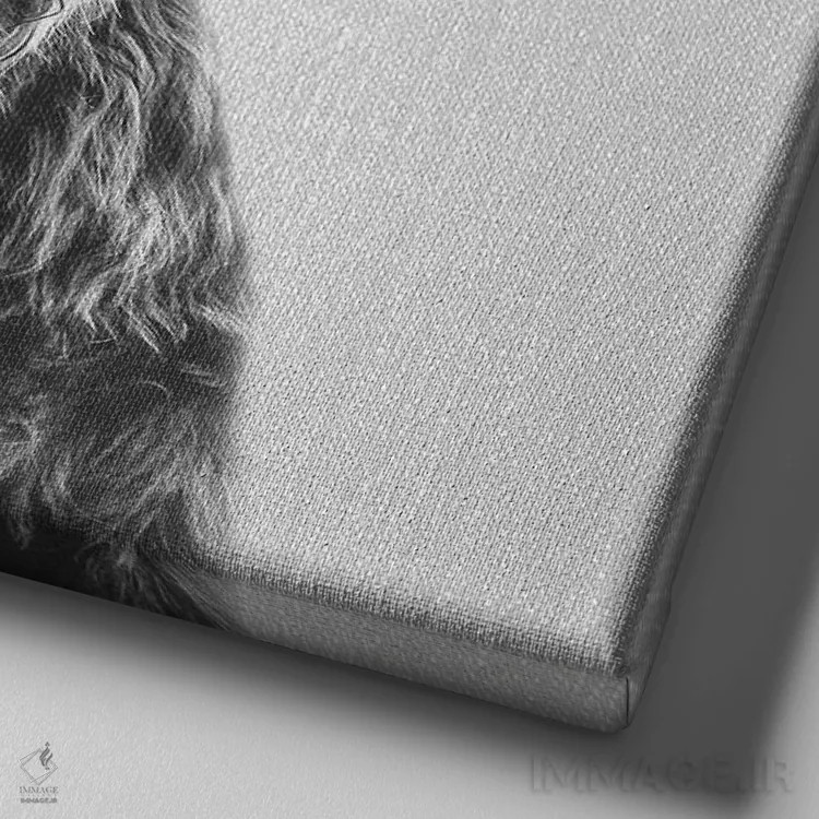 تابلو گوساله کوهستانی در سیاه و سفید اثر گال دیزاین - نمای نزدیک بافت بوم