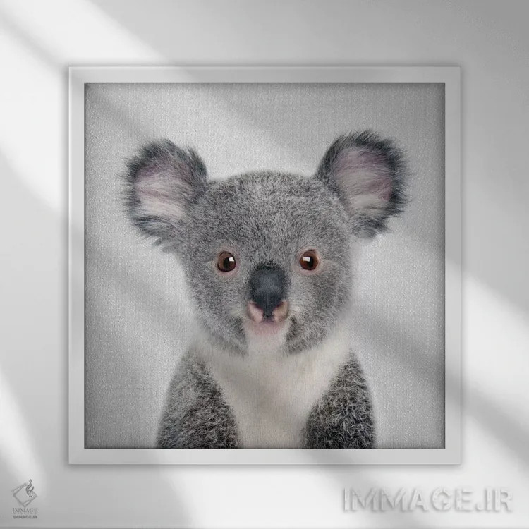 تابلو بچه کوالا اثر گال دیزاین - نمای قابدار سفید